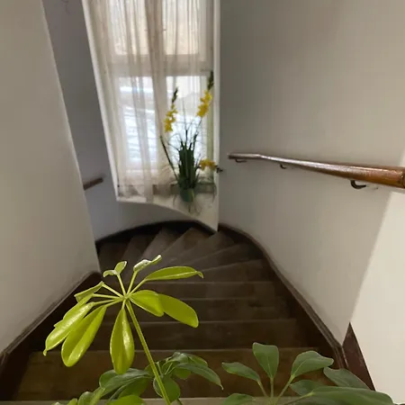 Casa Lais Apartment Brașov