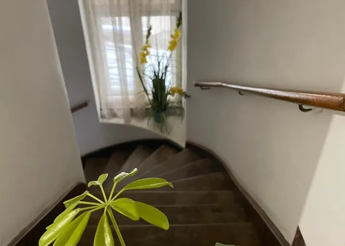 Casa Lais Apartment Brasov